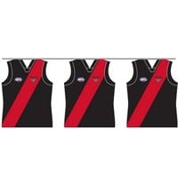 Essendon Bombers Team Party Bunting Guernsey Shape