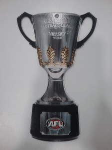 AFL Premiership Cup Cut Out Small 32cm
