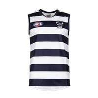 Geelong Cats Youth Replica Guernsey