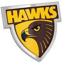 Hawthorn Hawks 3D Chrome Supporter Emblem